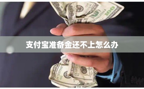 支付宝准备金还不上怎么办 支付宝准备金还不上怎么办