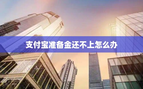 支付宝准备金还不上怎么办 支付宝准备金还不上怎么办