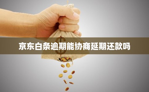 京东白条逾期能协商延期还款吗