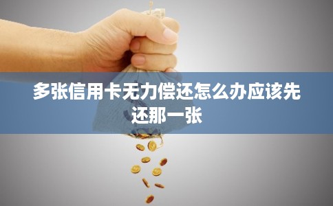多张信用卡无力偿还怎么办应该先还那一张 多张信用卡无力偿还怎么办应该先还那一张