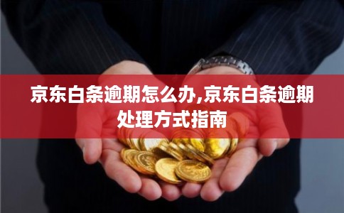 京东白条逾期怎么办,京东白条逾期处理方式指南