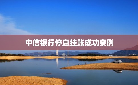 中信银行停息挂账成功案例 中信银行停息挂账成功案例