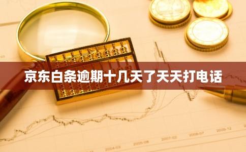 京东白条逾期十几天了天天打电话