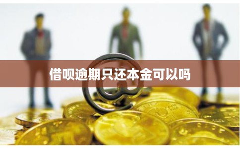 借呗逾期只还本金可以吗