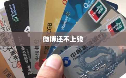 微博还不上钱