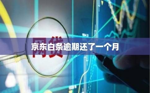 京东白条逾期还了一个月
