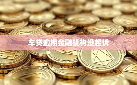 车贷逾期金融机构没起诉