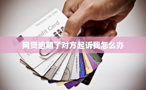 网贷逾期了对方起诉我怎么办