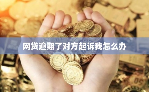 网贷逾期了对方起诉我怎么办