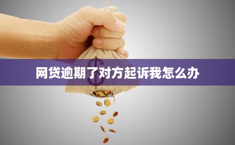 网贷逾期了对方起诉我怎么办