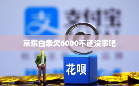 京东白条欠6000不还没事吧