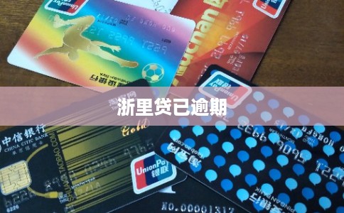 浙里贷已逾期