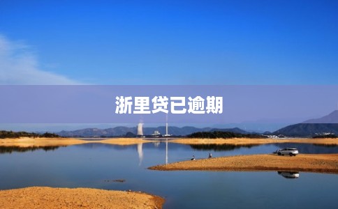 浙里贷已逾期