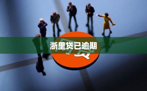浙里贷已逾期