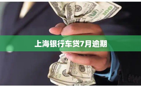 上海银行车贷7月逾期