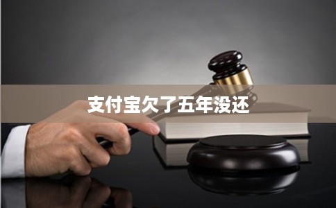 支付宝欠了五年没还