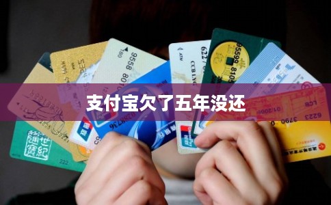 支付宝欠了五年没还