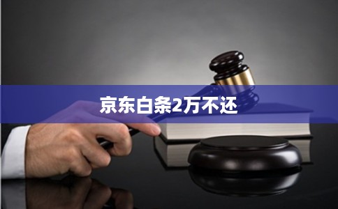 京东白条2万不还
