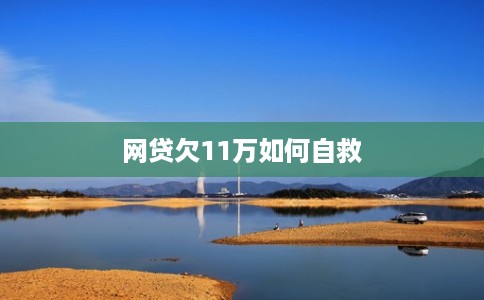 网贷欠11万如何自救