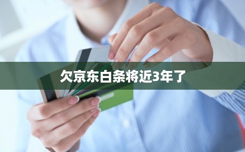 欠京东白条将近3年了 欠京东白条将近3年了