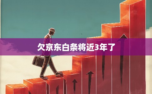 欠京东白条将近3年了 欠京东白条将近3年了