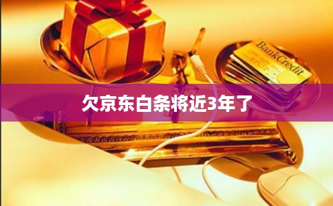 欠京东白条将近3年了 欠京东白条将近3年了