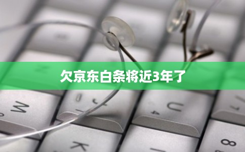 欠京东白条将近3年了