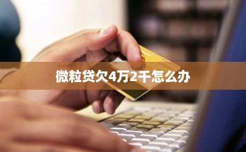 微粒贷欠4万2千怎么办