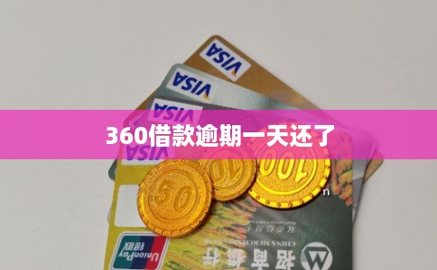 360借款逾期一天还了