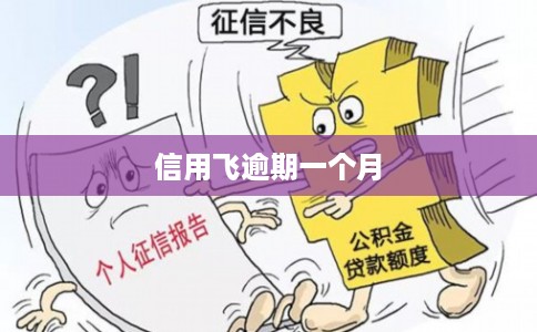 信用飞逾期一个月