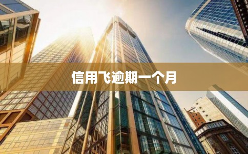 信用飞逾期一个月