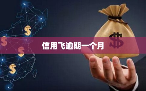 信用飞逾期一个月