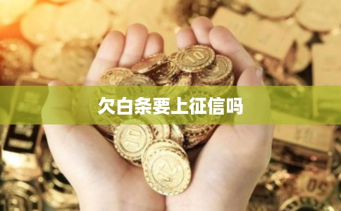 欠白条要上征信吗