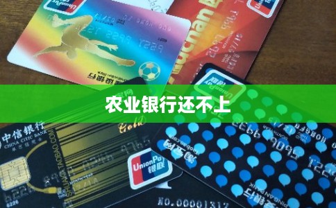 农业银行还不上 农业银行还不上