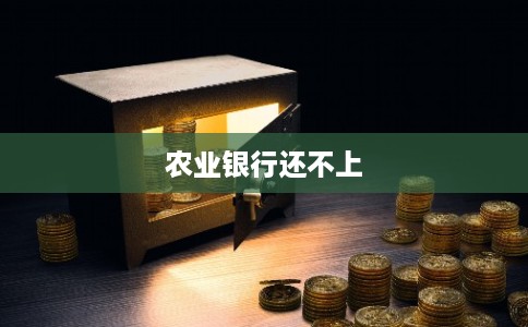 农业银行还不上