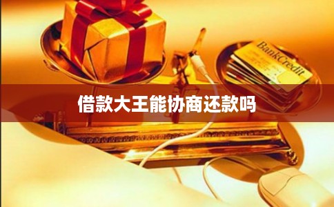 借款大王能协商还款吗