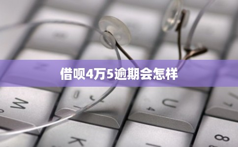 借呗4万5逾期会怎样