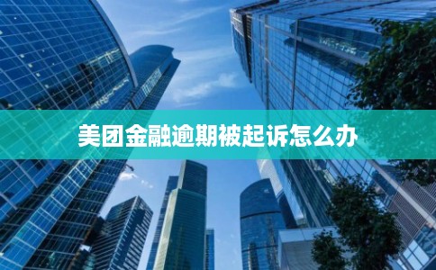 美团金融逾期被起诉怎么办