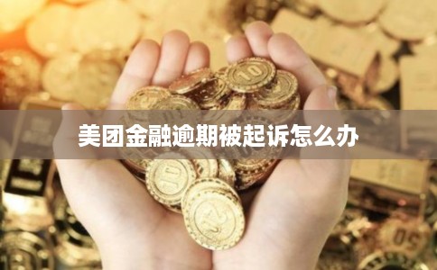 美团金融逾期被起诉怎么办