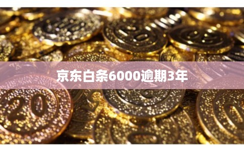 京东白条6000逾期3年