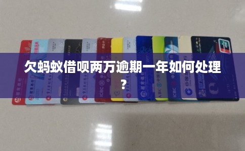 欠蚂蚁借呗两万逾期一年如何处理？