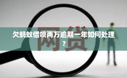 欠蚂蚁借呗两万逾期一年如何处理?