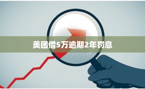 美团借5万逾期2年罚息