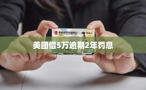美团借5万逾期2年罚息
