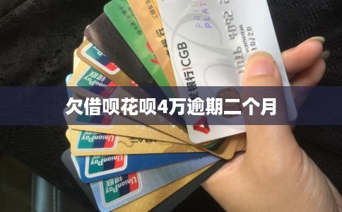 欠借呗花呗4万逾期二个月