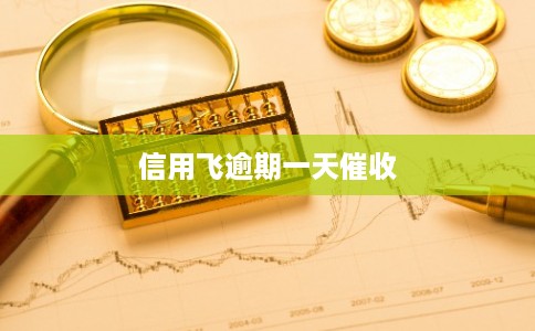 信用飞逾期一天催收