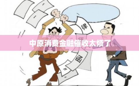 中原消费金融催收太烦了