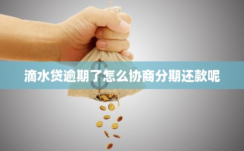 滴水贷逾期了怎么协商分期还款呢