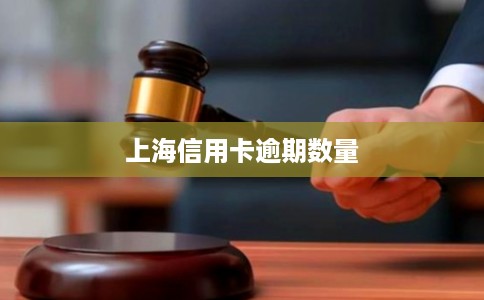 上海信用卡逾期数量