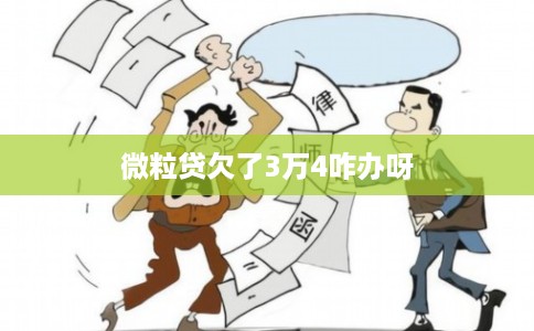 微粒贷欠了3万4咋办呀 微粒贷欠了3万4咋办呀